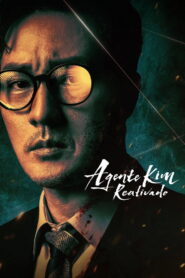 Agente Kim: Reativado